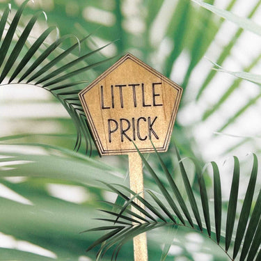 Funny Plant Stakes - Made from Sustainable Timber - LITTLE PRICK - Unicorn Fart Productions